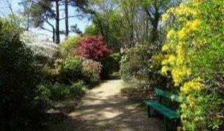 allée ensoleillée dans le Parc